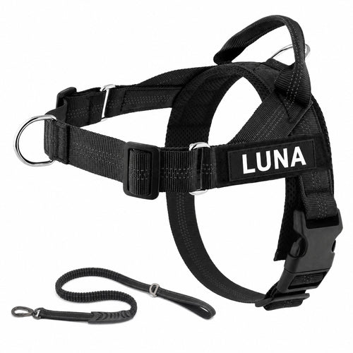 Harnais anti-traction LOYA noir avec patch personnalisable LUNA et sa laisse bungee