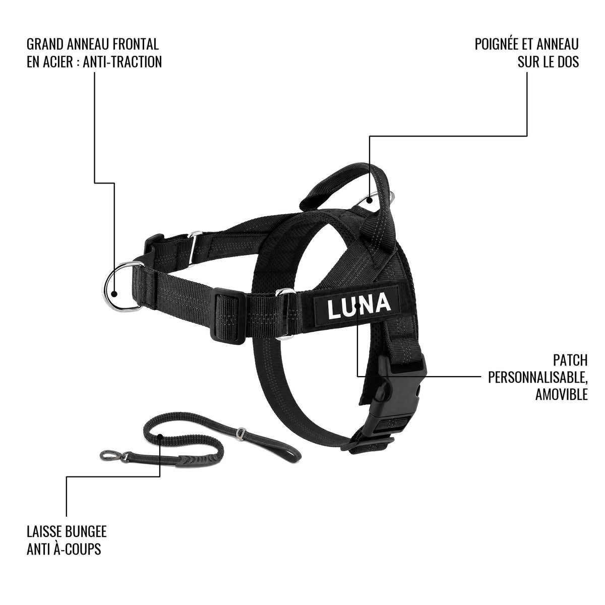 Le harnais LOYA en détail : grand anneau frontal en acier anti-traction, poignée et anneau sur le dos, patch personnalisable amovible, laisse bungee anti à-coups