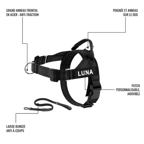 Le harnais LOYA en détail : grand anneau frontal en acier anti-traction, poignée et anneau sur le dos, patch personnalisable amovible, laisse bungee anti à-coups