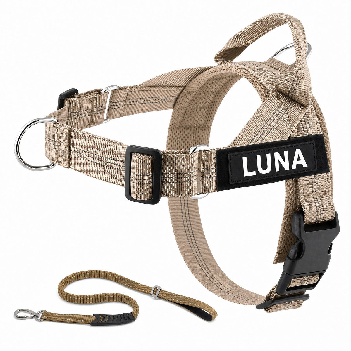 Harnais LOYA coloris Beige avec laisse bungee et patch personnalisable