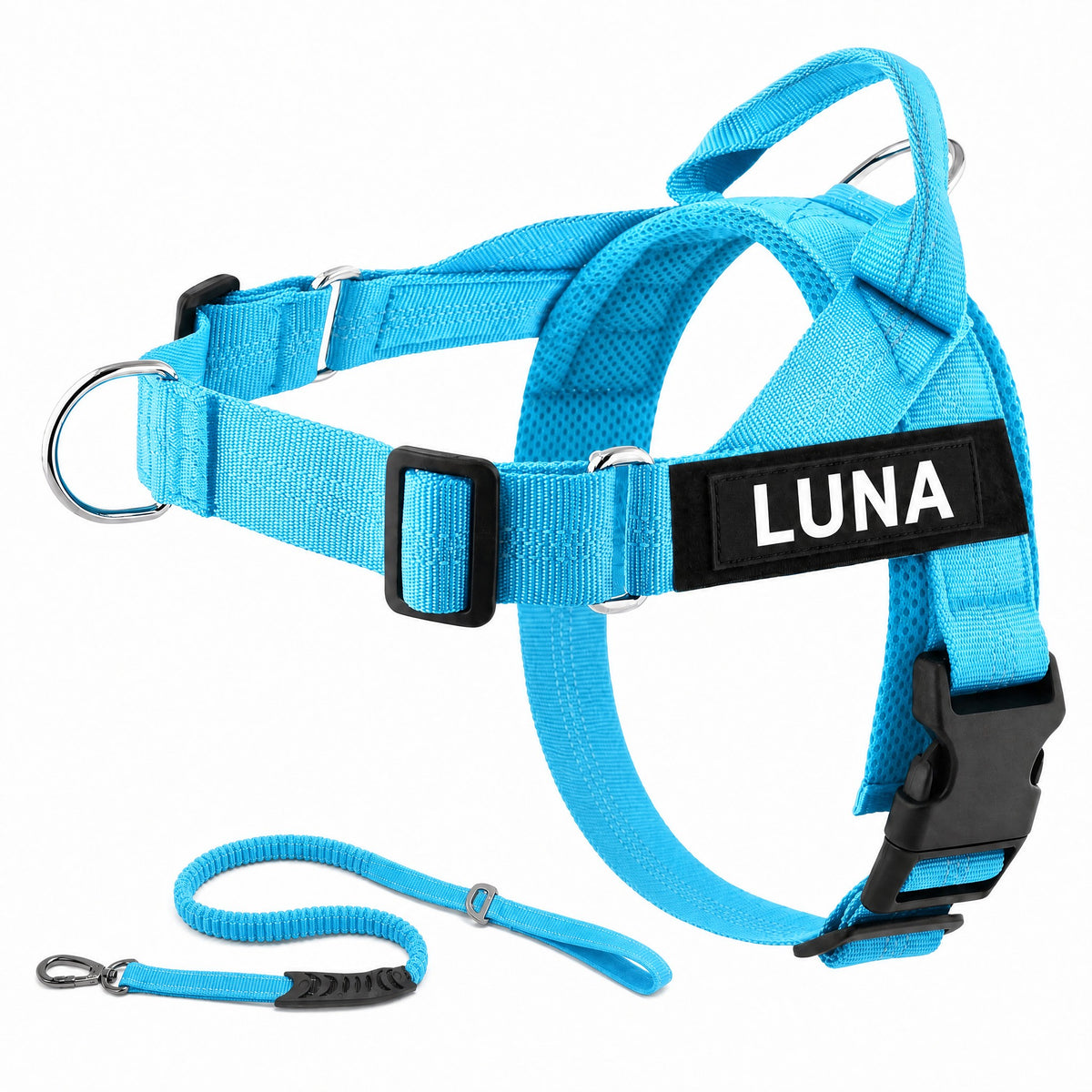 Harnais LOYA coloris Bleu Ciel avec laisse bungee et patch personnalisable