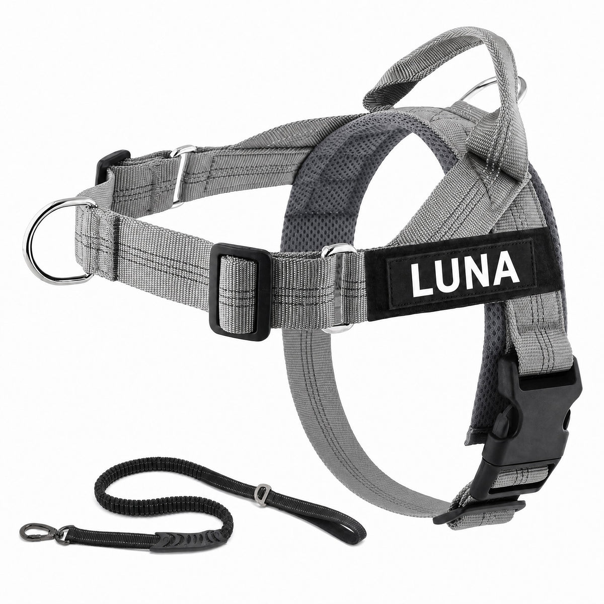 Harnais LOYA coloris Gris avec laisse bungee et patch personnalisable