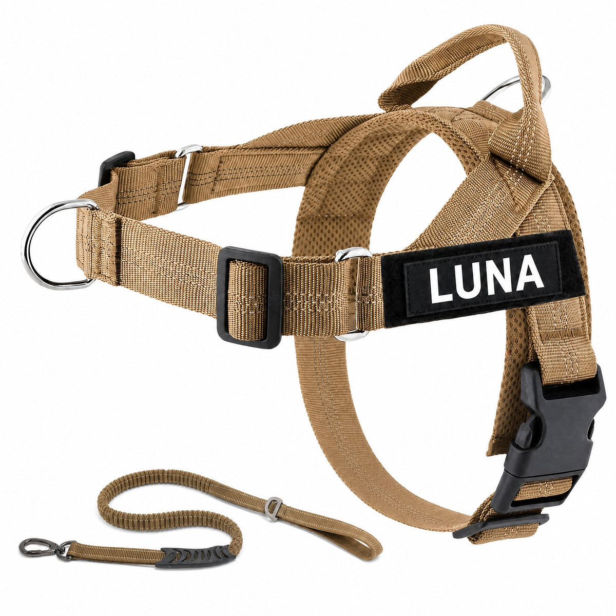 Harnais LOYA coloris Marron avec laisse bungee et patch personnalisable
