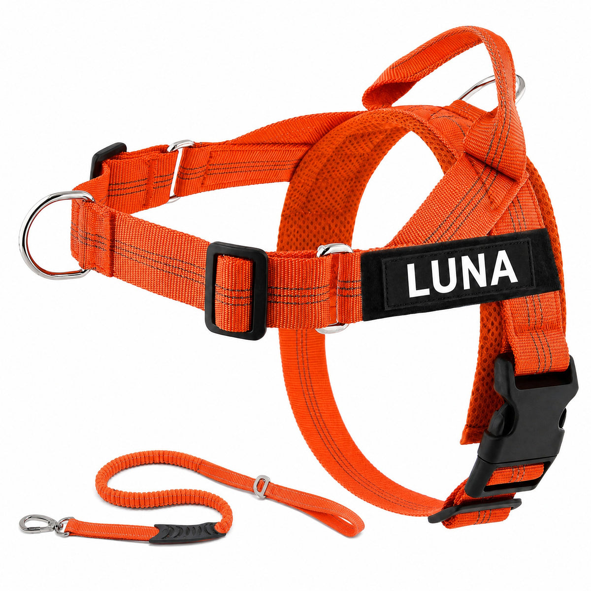 Harnais LOYA coloris Orange avec laisse bungee et patch personnalisable