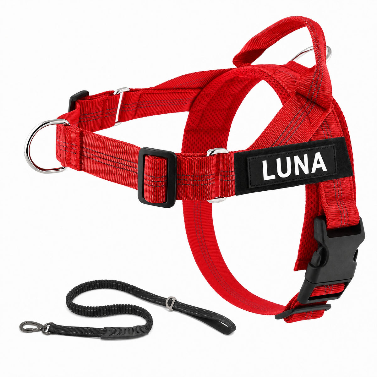 Harnais LOYA coloris Rouge avec laisse bungee et patch personnalisable