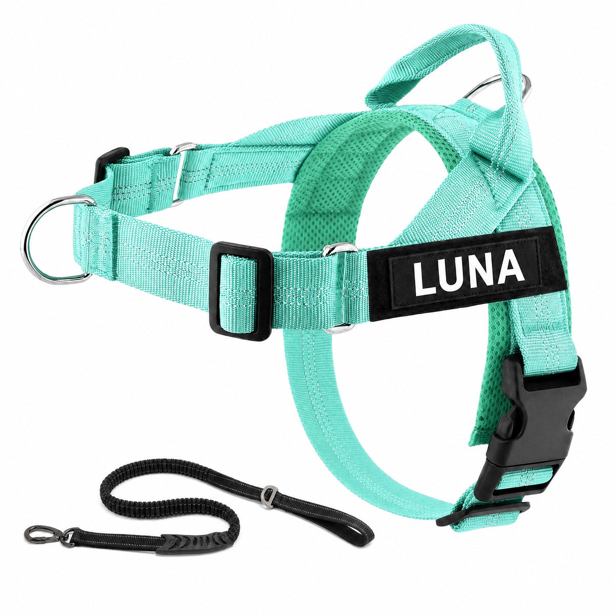 Harnais LOYA coloris Turquoise avec laisse bungee et patch personnalisable