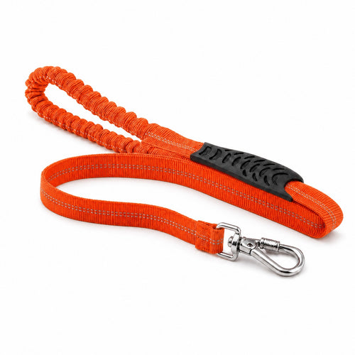 Laisse bungee LOYA orange